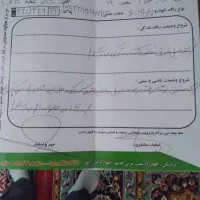 فروش خودرو|خودرو سواری و وانت|بردسکن, |دیوار