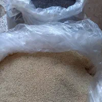 بذر کشاورزی