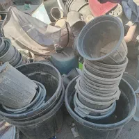 پلاستیکی کارکرده گلدان جهت برای نهال درخت گل وگیاه|گل و گیاه طبیعی|تهران, سید خندان (جلفا)|دیوار