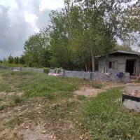 فروش زمین در منطقه ی اکوهپایه سرسبز لاهیجان