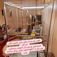 قفس بزرگ دست ساز|لوازم جانبی حیوانات|شاهینشهر, شهرک گلدیس|دیوار