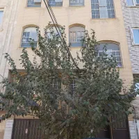 فروش-ملک-ویلایی-عطاران