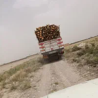 خریدار چوب همه نوع