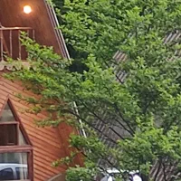 نظافت و‌اشپزی