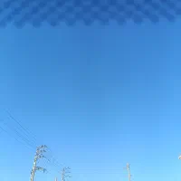 رهن و کرایه مغازه