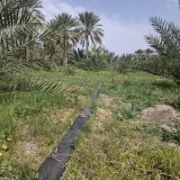 زمین مسکونی