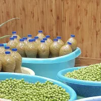 آبغوره خالص و محلی ، رب آلوچه محلی