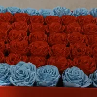 گل های روبانی (جاودان)|گل مصنوعی|تویسرکان, |دیوار