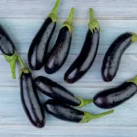 بادمجان ریز ریز،لوبیا سبز(داوطلبانه)|خوردنی و آشامیدنی|پاکدشت, پاکدشت (مامازند)|دیوار