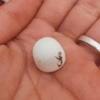 سنگ|کلکسیون اشیاء عتیقه|کرمان, |دیوار