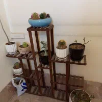 استند گل