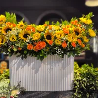 گلسرای علیسان|گل و گیاه طبیعی|بهبهان, |دیوار