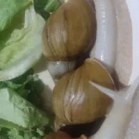 فریزر حلزون درمانی