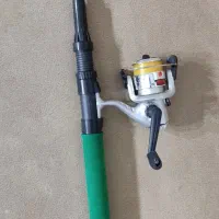 لنسر ماهیگیری قزلی