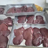 جیگر گوسفندی