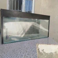 آکواریوم بزرگ