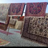 قالیشویی دنیزسهند