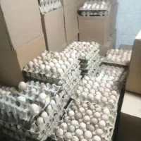 تخم مرغ محلی