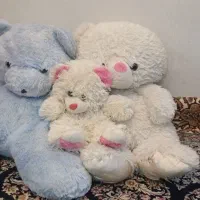 خانواده خرس