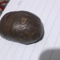 سنگ باستانی زنی بابچه وحیوان وکلماتی قدیمی