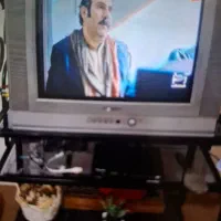 تلویزیون