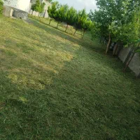 زیباسازی و چمن زنی ،تمشک زنی، لی زنی