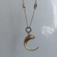 طلا زنجیر و پلاک ببر