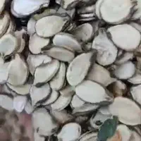 تخمه آجیلی هندوانه