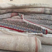 نیروی کار در قالیشویی