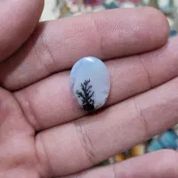 سنگ شجر قائن طبیعی