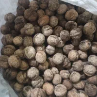 گردو خشک امسال|عمده‌فروشی|بردسکن, |دیوار