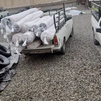 قالیشوی ملایری در پاکدشت و شریف اباد|خدمات نظافت|پاکدشت, پاکدشت (مامازند)|دیوار