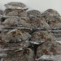 خرما و نمک|خوردنی و آشامیدنی|اهرم, |دیوار