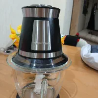 غذاسازگوسنیک