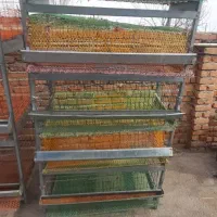 قفس ۵ طبقه بلدرچین|لوازم جانبی حیوانات|ارومیه, |دیوار