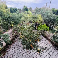 دوبلکس چند سال ساخت نزدیک شهر درختان مرکبات