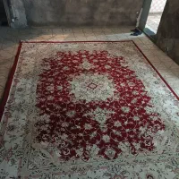 فرش۱۲متری تمام نخ|فرش|مشهد, کوی المهدی|دیوار