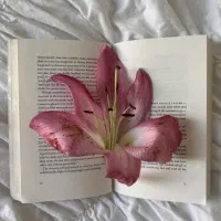 آموزش زبان انگلیسی