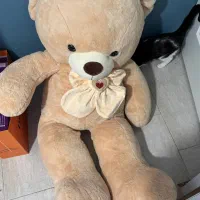 عروسک|اسباب‌بازی بچه|ارومیه, |دیوار