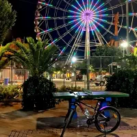 دوچرخه 29 ژیتان نو نو