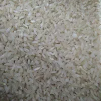 خورده برنج وبرنج کامفیروزی اصل به شرط پخت