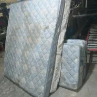 تشک سالم درحد