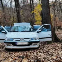 پژوپارس ساده