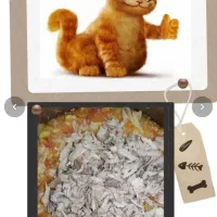 غذای خانگی پت