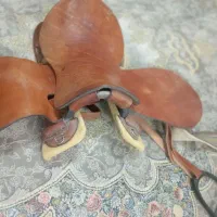زین برنو