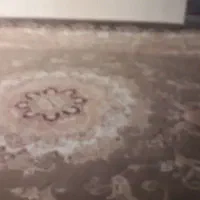 فرش گردویی ۱۲متری تمیز ونو