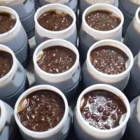 پخش سمنو حاج عباس ۱۰۰٪ طبیعی