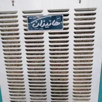 کولرابی هانیزان