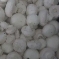 قارچ خوراکی به قیمت تولیدی