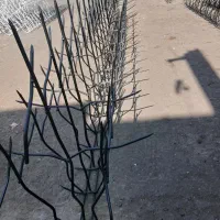 نرده .حفاظ . آبشاری.شاخ گوزنی .نخل مرداب